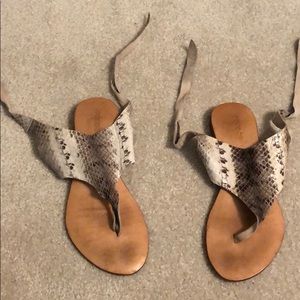 Cocobelle Snakeskin Sandals